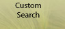 Custom Search